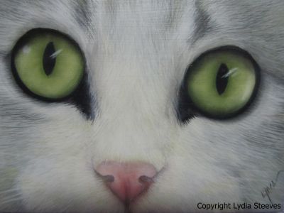 Chloe Eyes Acrylic e-Packet